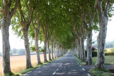 France is beautiful, roads like these are fantastic to ride on France is beautiful, roads like these are fantastic to ride on