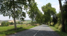 Into the country