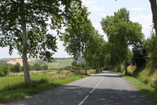 Into the country Into the country