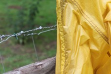Bad mix, barbed wire and a tent Bad mix, barbed wire and a tent