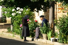The locals chat The locals chat