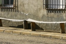 A couple of well used benches A couple of well used benches