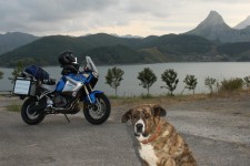 This huge dog was sleeping next to road and scared the sh*t out of me This huge dog was sleeping next to road and scared the sh*t out of me