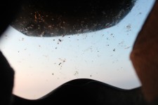 A long day of riding and killing flies with your helmet looks like this from the inside A long day of riding and killing flies with your helmet looks like this from the inside