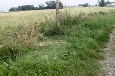 A bit of flat grass is all that remains after I've packed away A bit of flat grass is all that remains after I've packed away