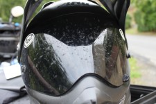 First day of riding and many dead flies First day of riding and many dead flies