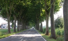 Great piece of road