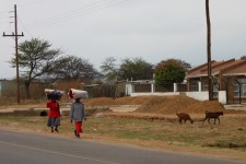 2 African women carry their shopping home on their head 2 African women carry their shopping home on their head