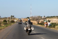 Everything is carrying big loads Everything is carrying big loads