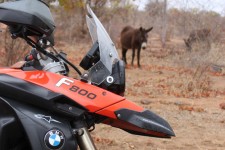 The F800 is lots of fun The F800 is lots of fun