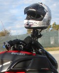 The Ducati Diavel is easy to ride and lots of fun